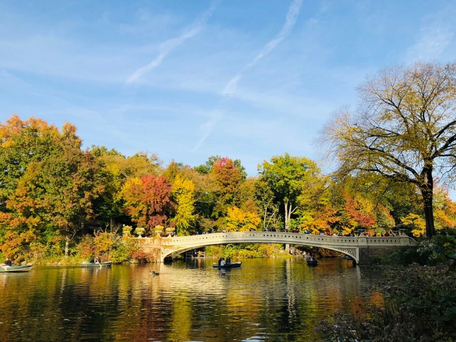 IMG_7216.jpg?type=w966