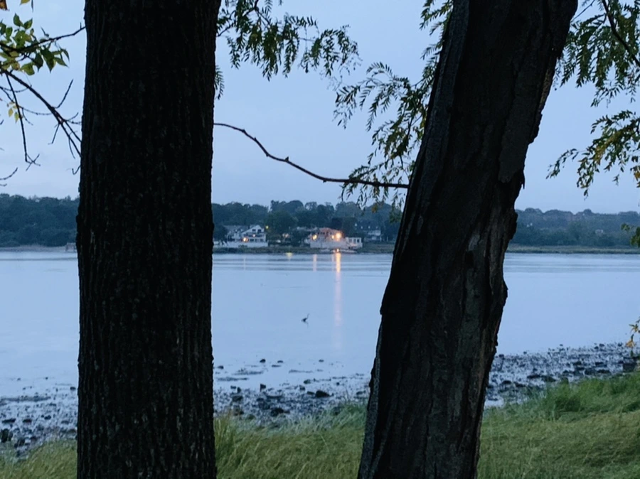 IMG_9230.jpg?type=w966