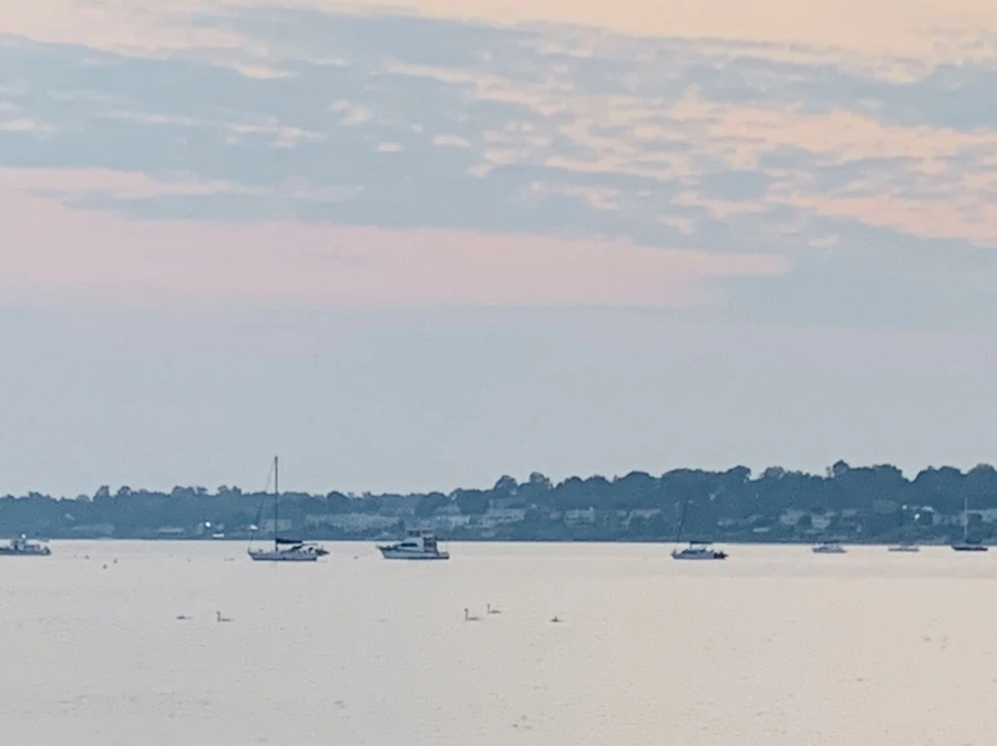 IMG_2279.jpg?type=w966