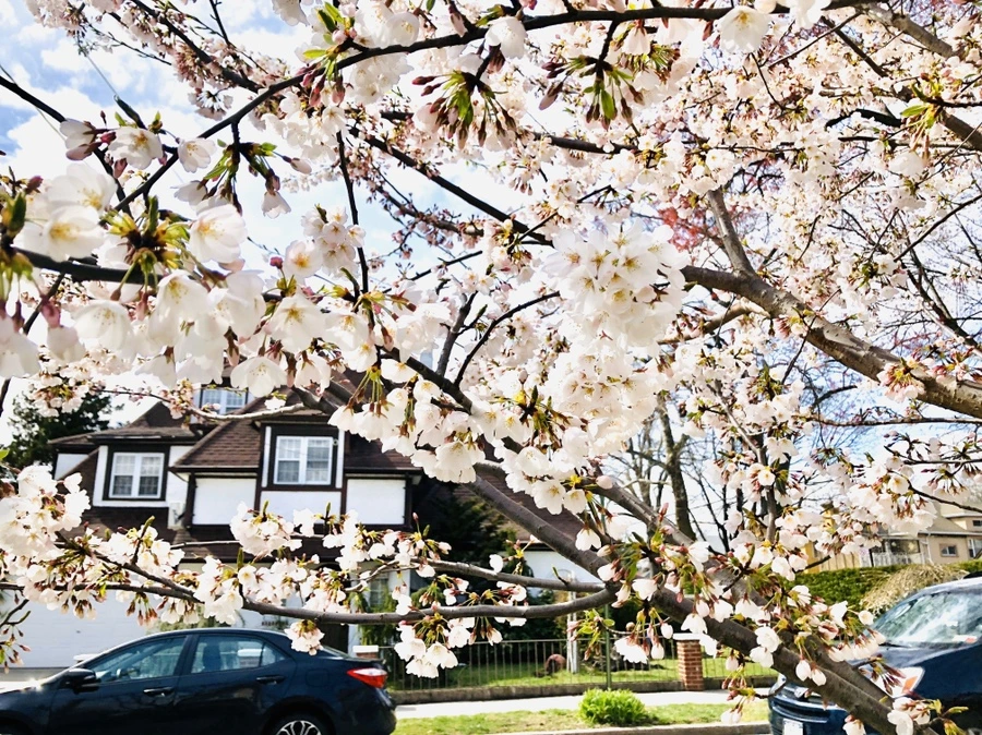 IMG_6760.jpg?type=w966