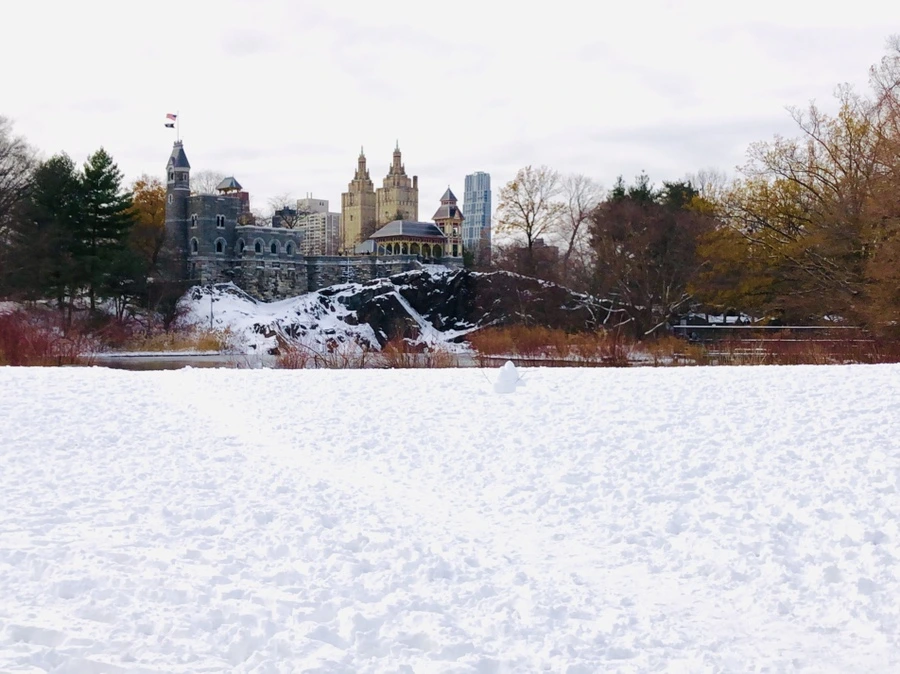 IMG_7310.JPG?type=w966