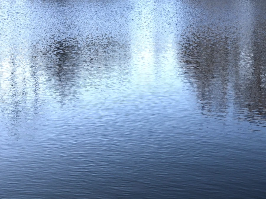 IMG_1113.jpg?type=w966