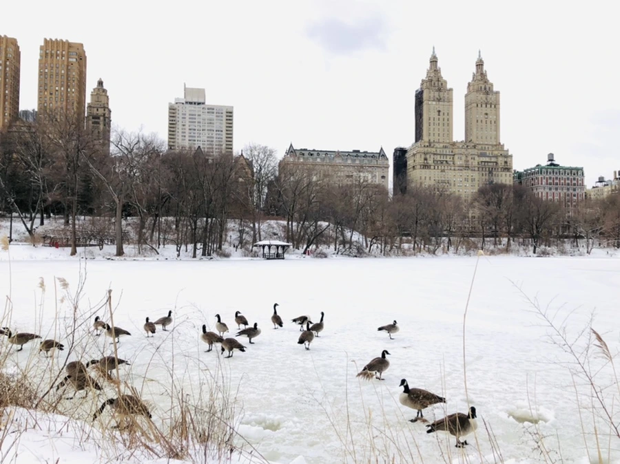 IMG_9482.jpg?type=w966