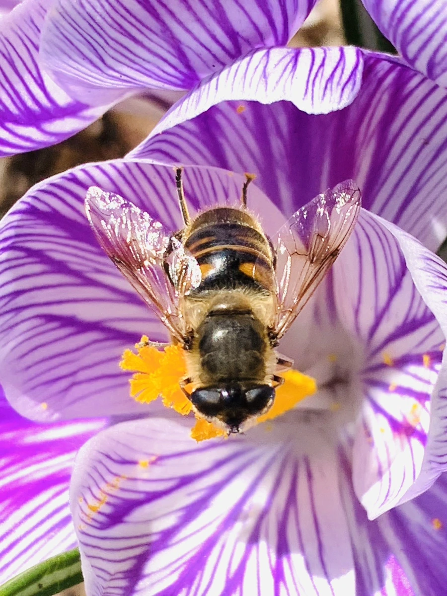 IMG_2897.jpg?type=w966