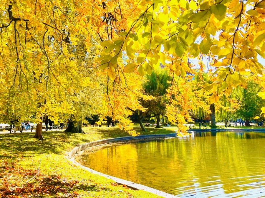 IMG_2560.jpg?type=w966