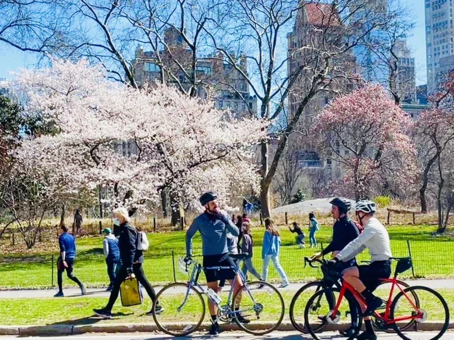 IMG_8487.jpg?type=w966