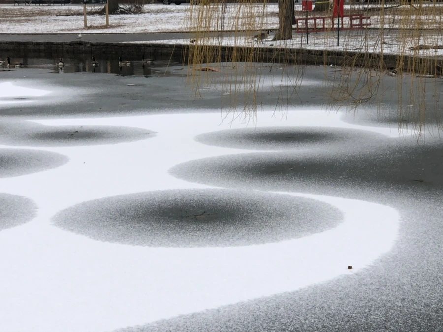 IMG_6170.jpg?type=w966