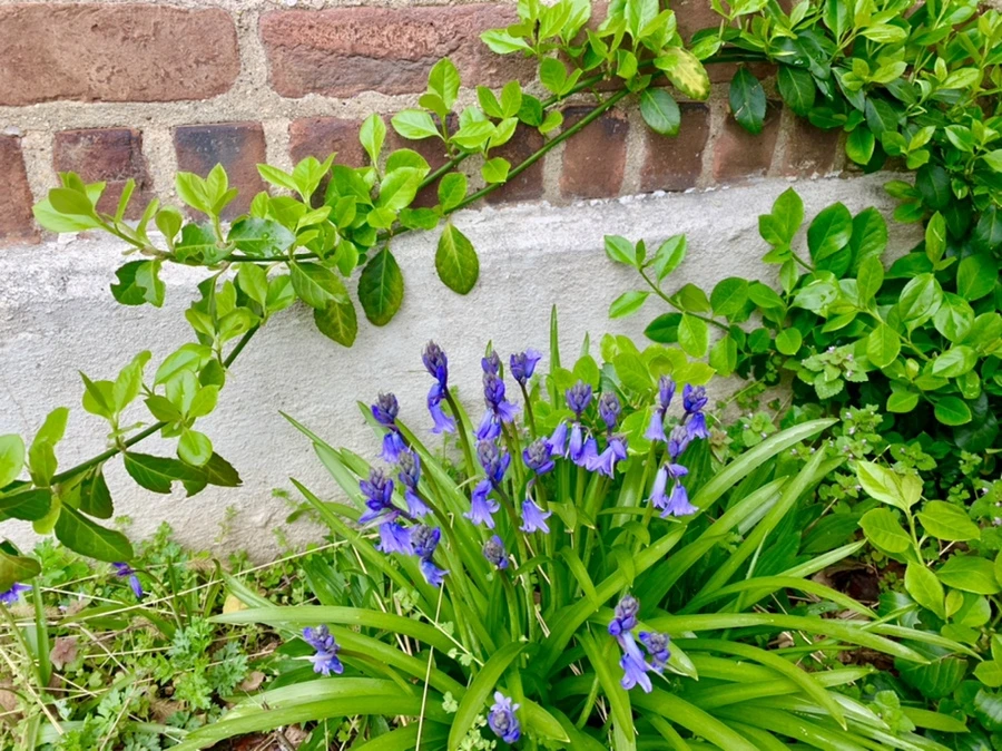 IMG_6329.jpg?type=w966