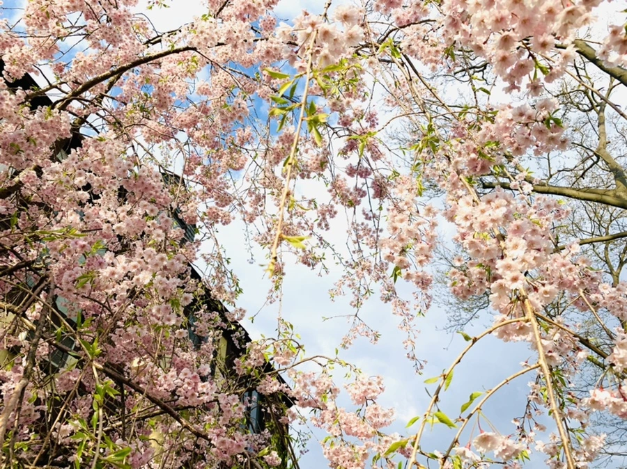 IMG_3820.jpg?type=w966