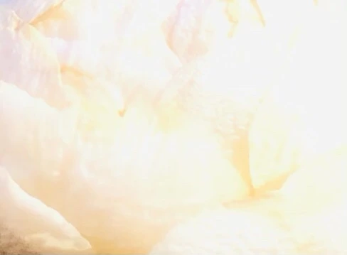 IMG_1386.jpg?type=w966