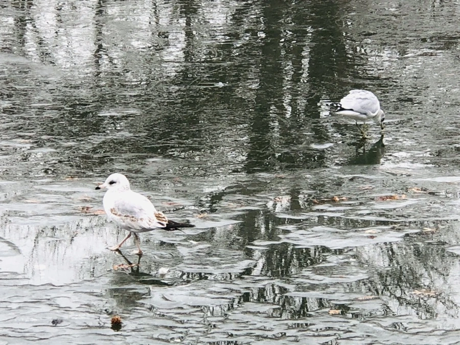 IMG_3168.jpg?type=w966