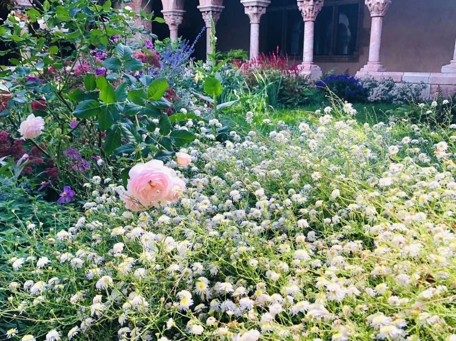 IMG_1475.jpg?type=w966