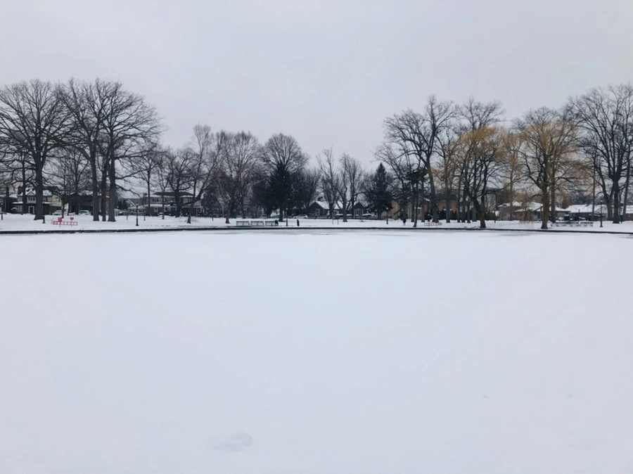 IMG_1499.jpg?type=w966