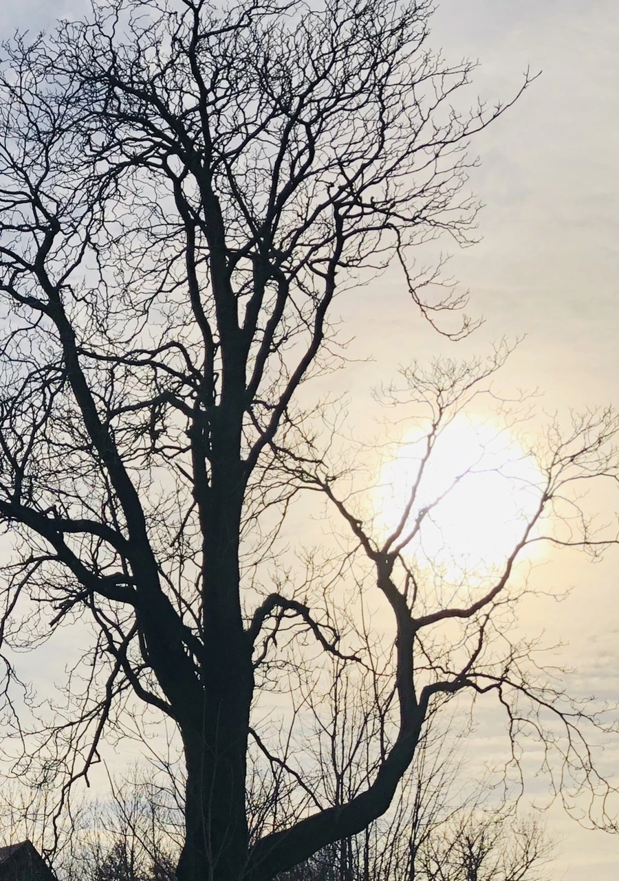 IMG_0411.jpg?type=w966