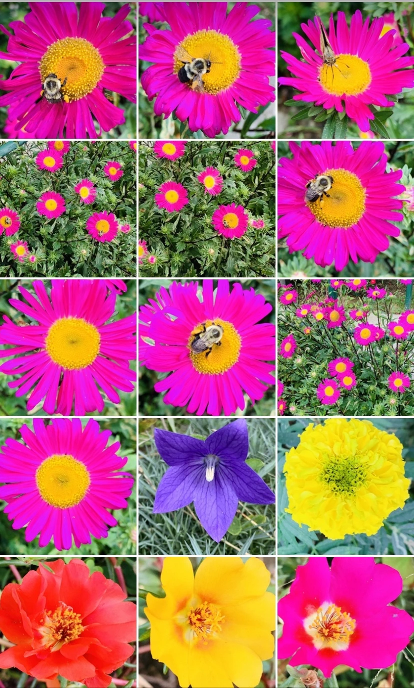 IMG_7337.jpg?type=w966