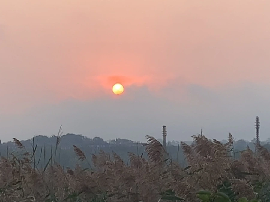 IMG_1115.jpg?type=w966