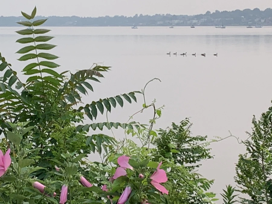 IMG_8113.jpg?type=w966