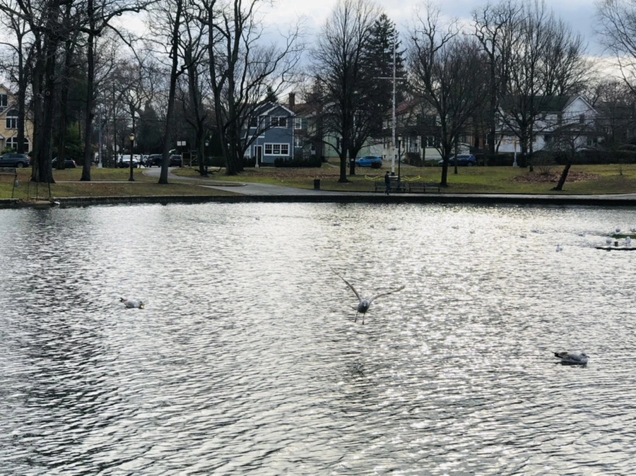 IMG_8712.jpg?type=w966