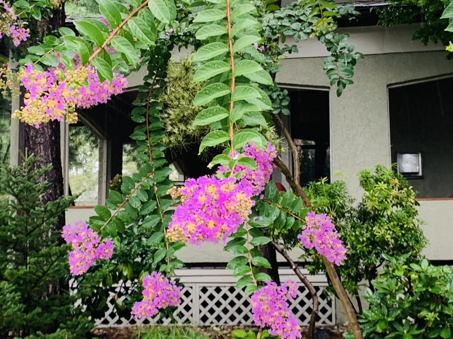 IMG_3805.jpg?type=w966