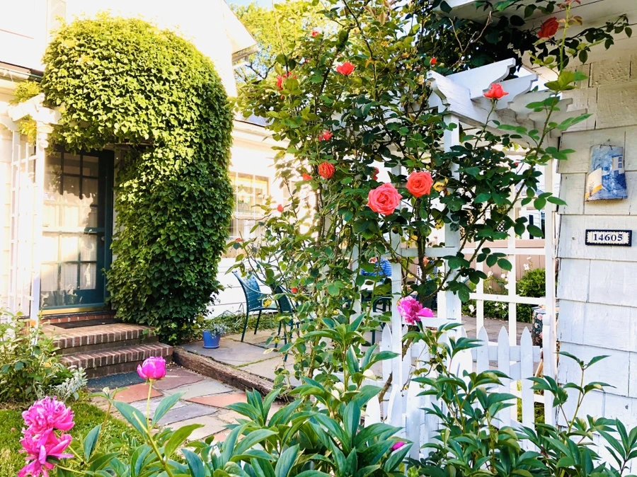 IMG_8586.jpg?type=w966