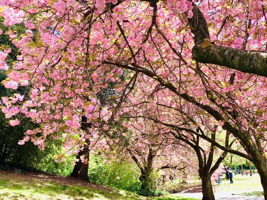 IMG_6414.jpg?type=w966