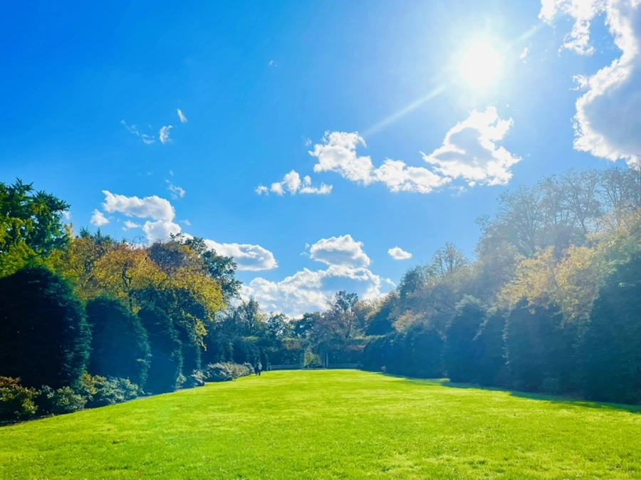 IMG_0130.jpg?type=w966