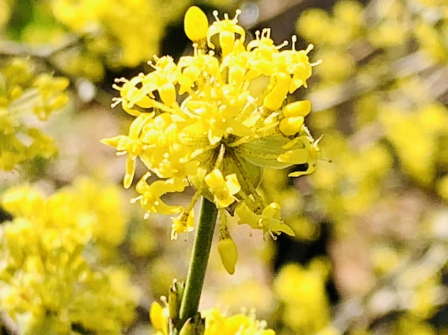 IMG_5670.jpg?type=w966