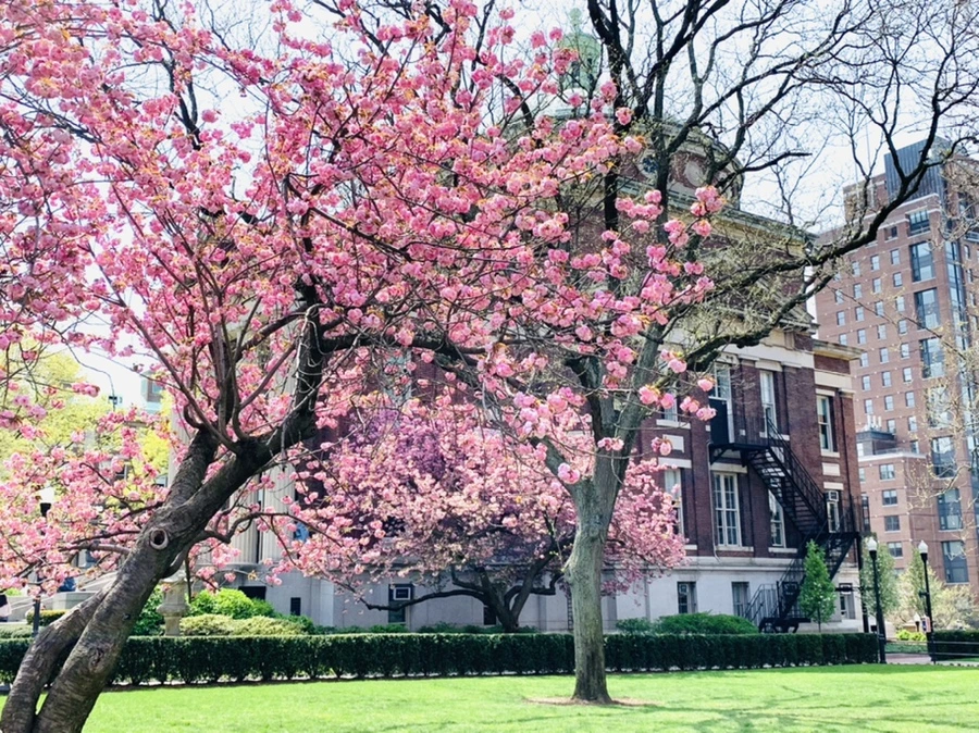 IMG_5092.jpg?type=w966