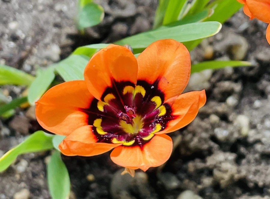 IMG_4214.jpg?type=w966