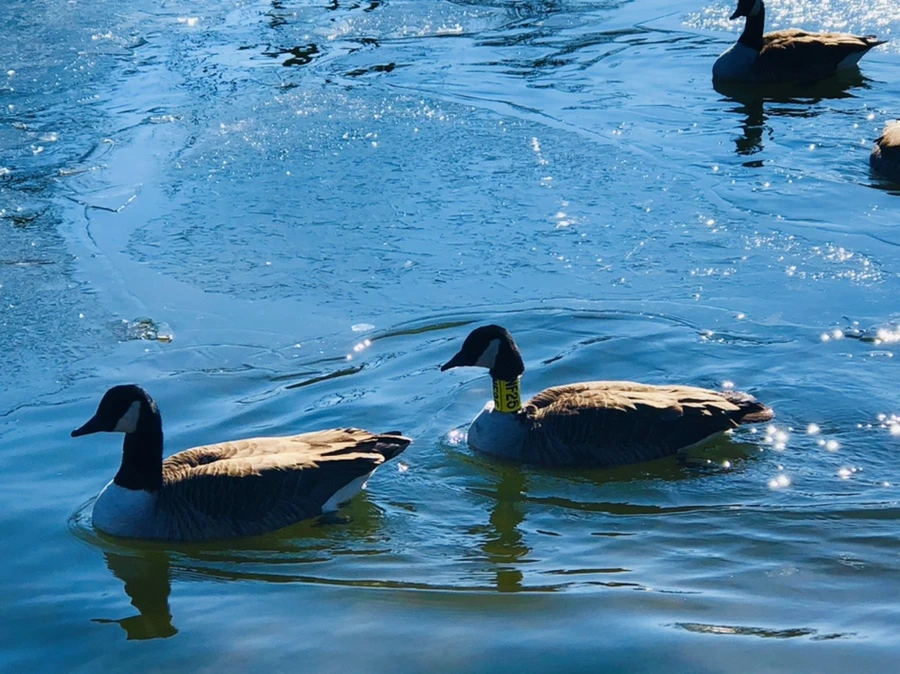 IMG_7780.jpg?type=w966