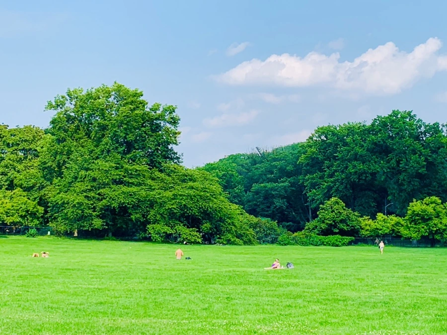 IMG_1686.jpg?type=w966