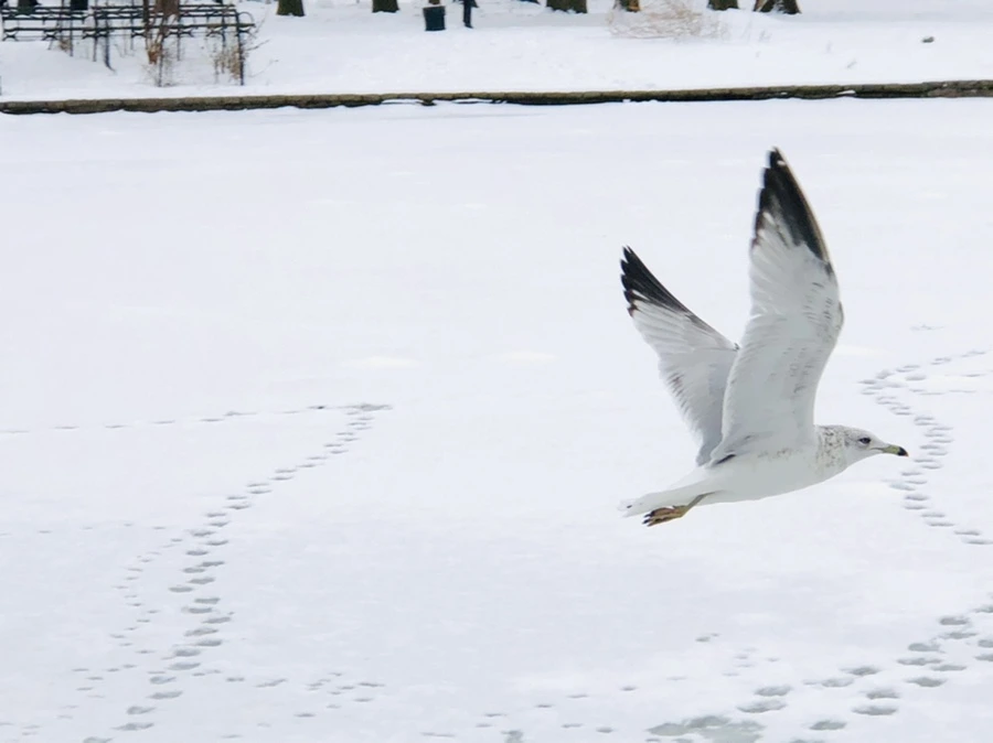 IMG_3825.jpg?type=w966