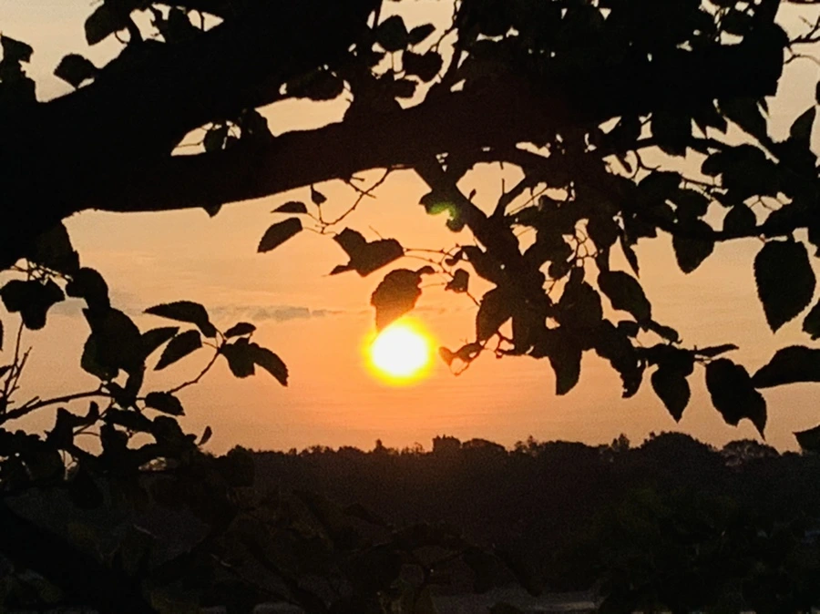 IMG_7765.jpg?type=w966