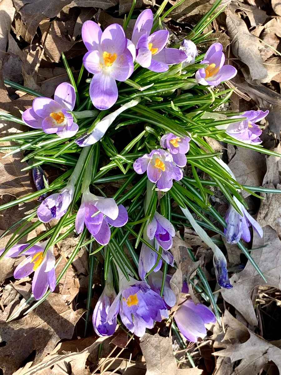 IMG_9667.jpg?type=w966