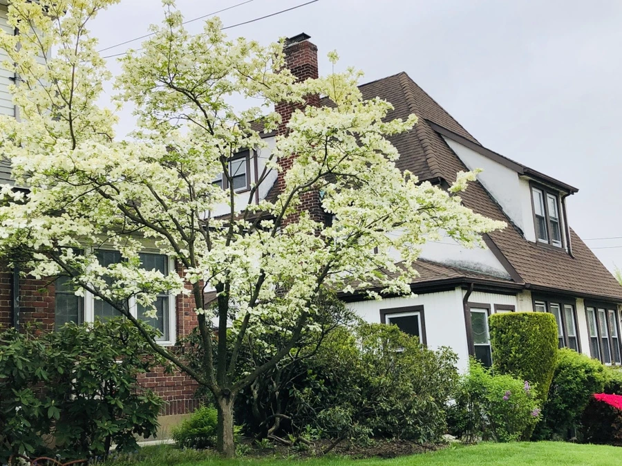 IMG_4030.jpg?type=w966