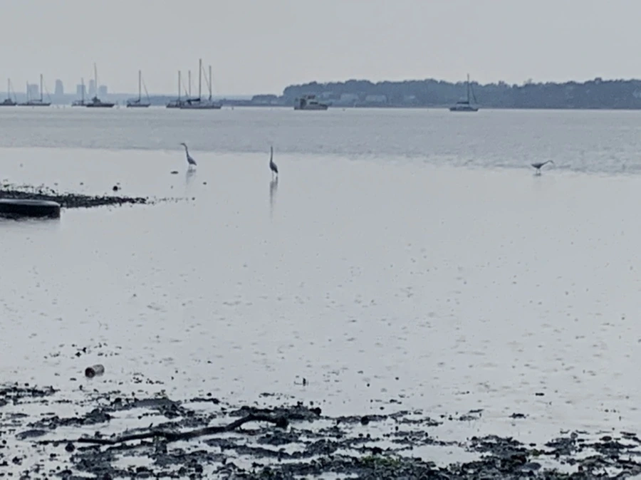 IMG_8124.jpg?type=w966