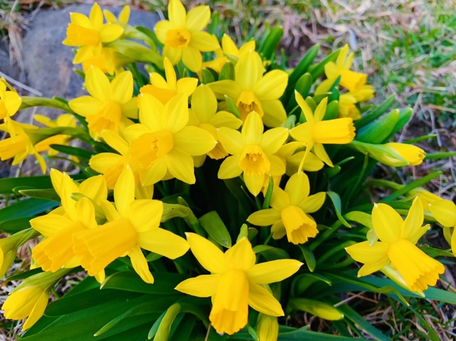 IMG_2716.jpg?type=w966