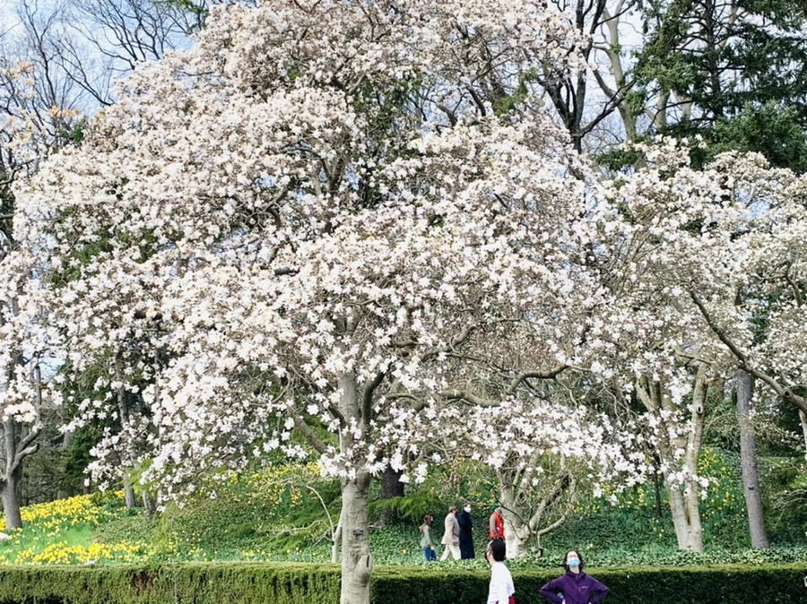 IMG_7169.jpg?type=w966