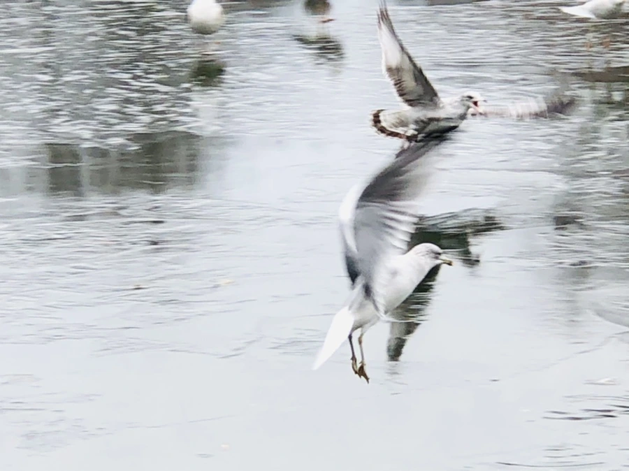 IMG_8958.jpg?type=w966