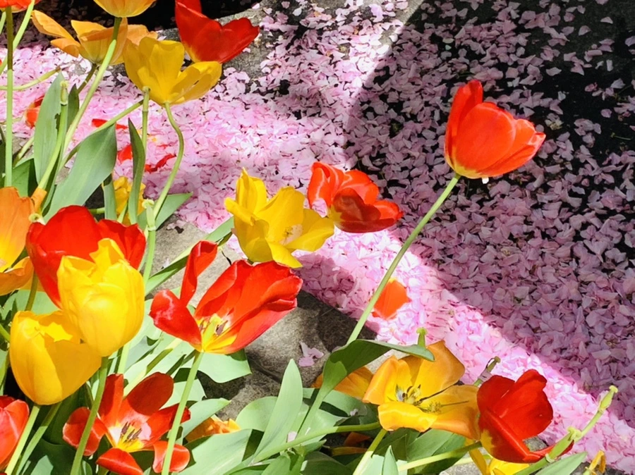 IMG_5670.jpg?type=w966