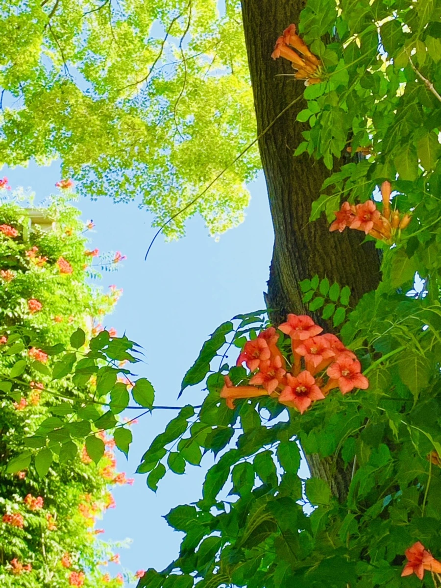 IMG_8713.jpg?type=w966