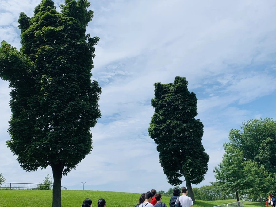 IMG_5048.jpg?type=w966