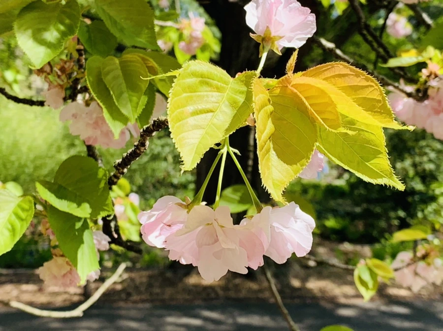 IMG_6303.jpg?type=w966