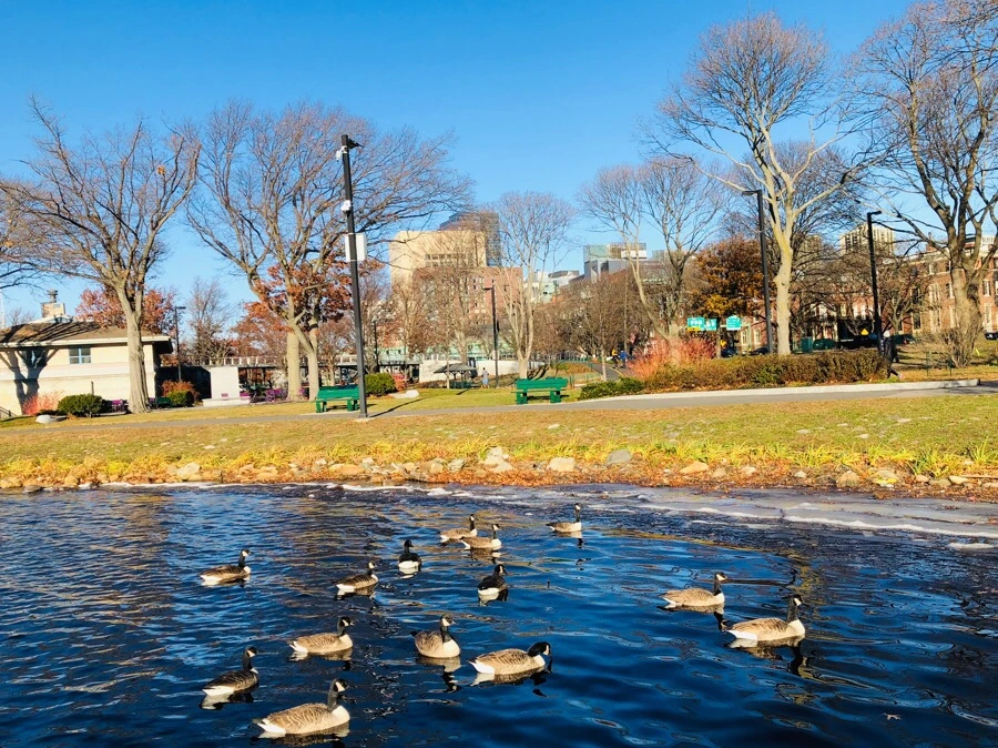 IMG_7985.jpg?type=w966