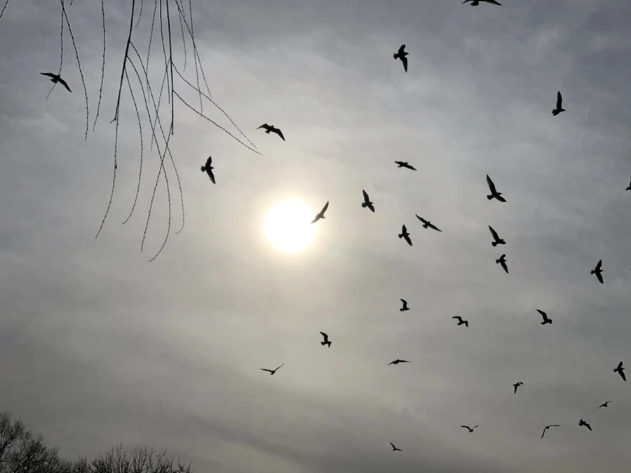 IMG_1994.jpg?type=w966