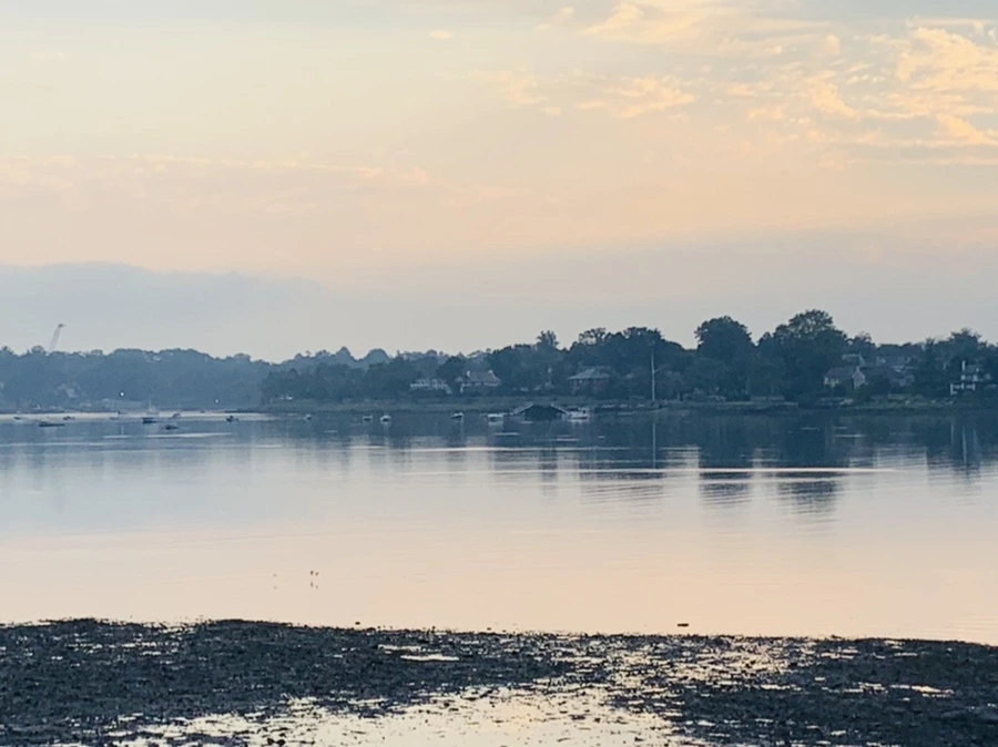 IMG_8223.jpg?type=w966