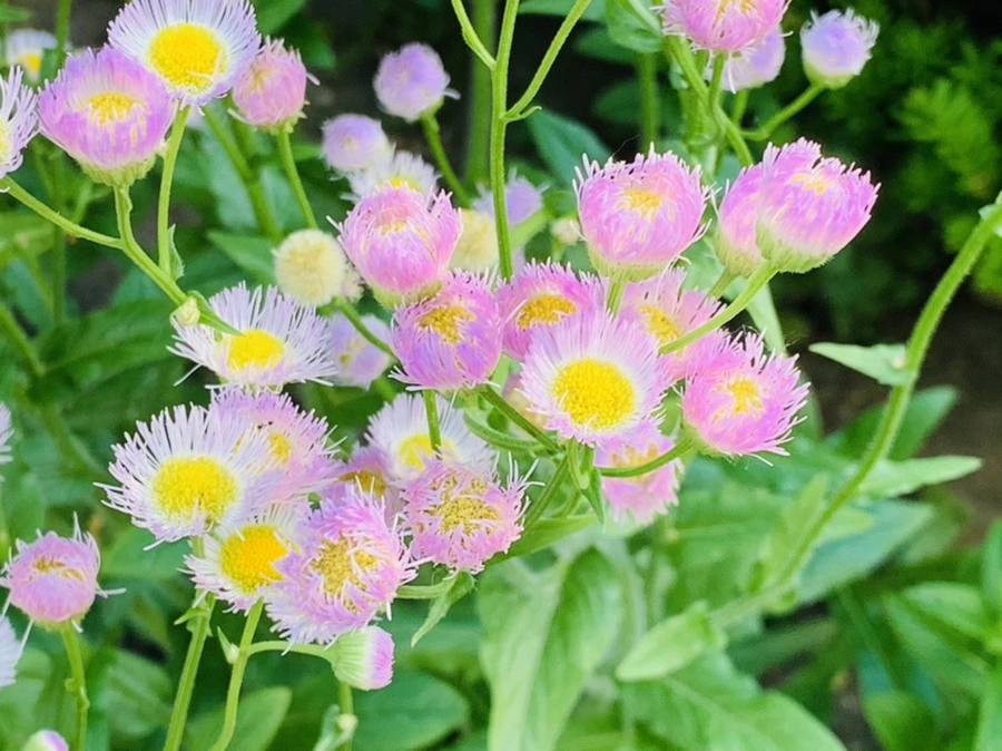 IMG_5653.jpg?type=w966