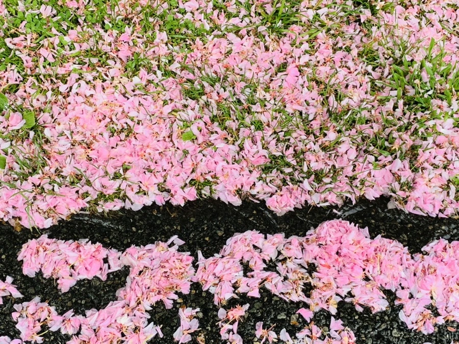 IMG_9881.jpg?type=w966