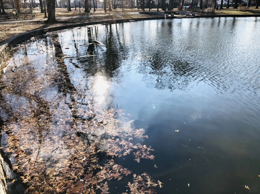 IMG_4120.jpg?type=w966