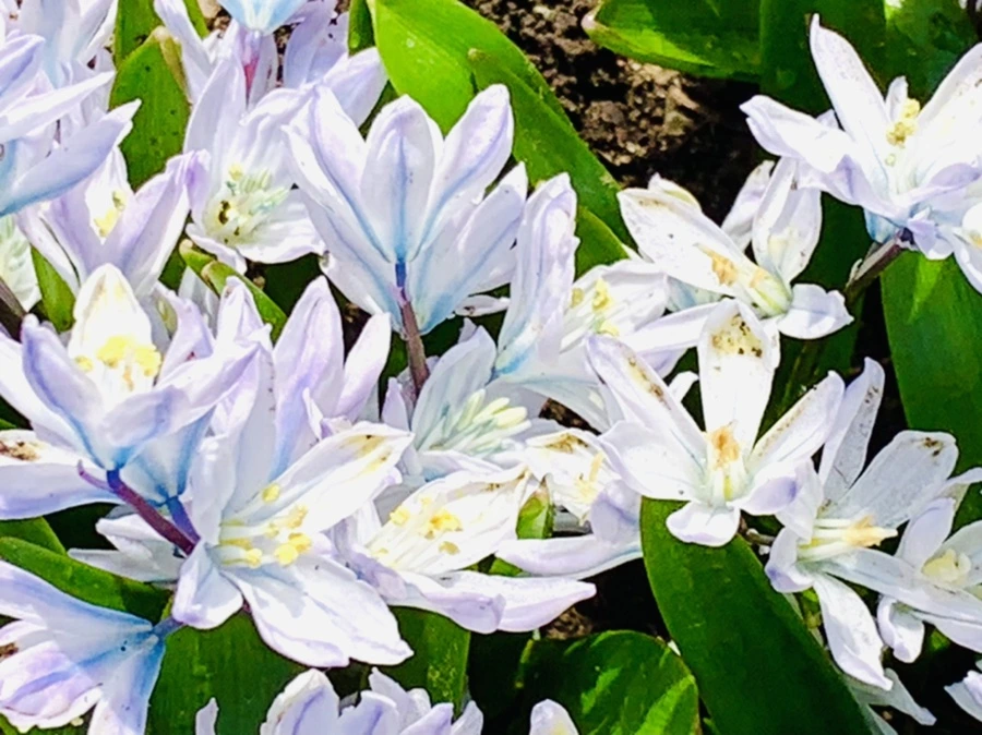 IMG_4133.jpg?type=w966